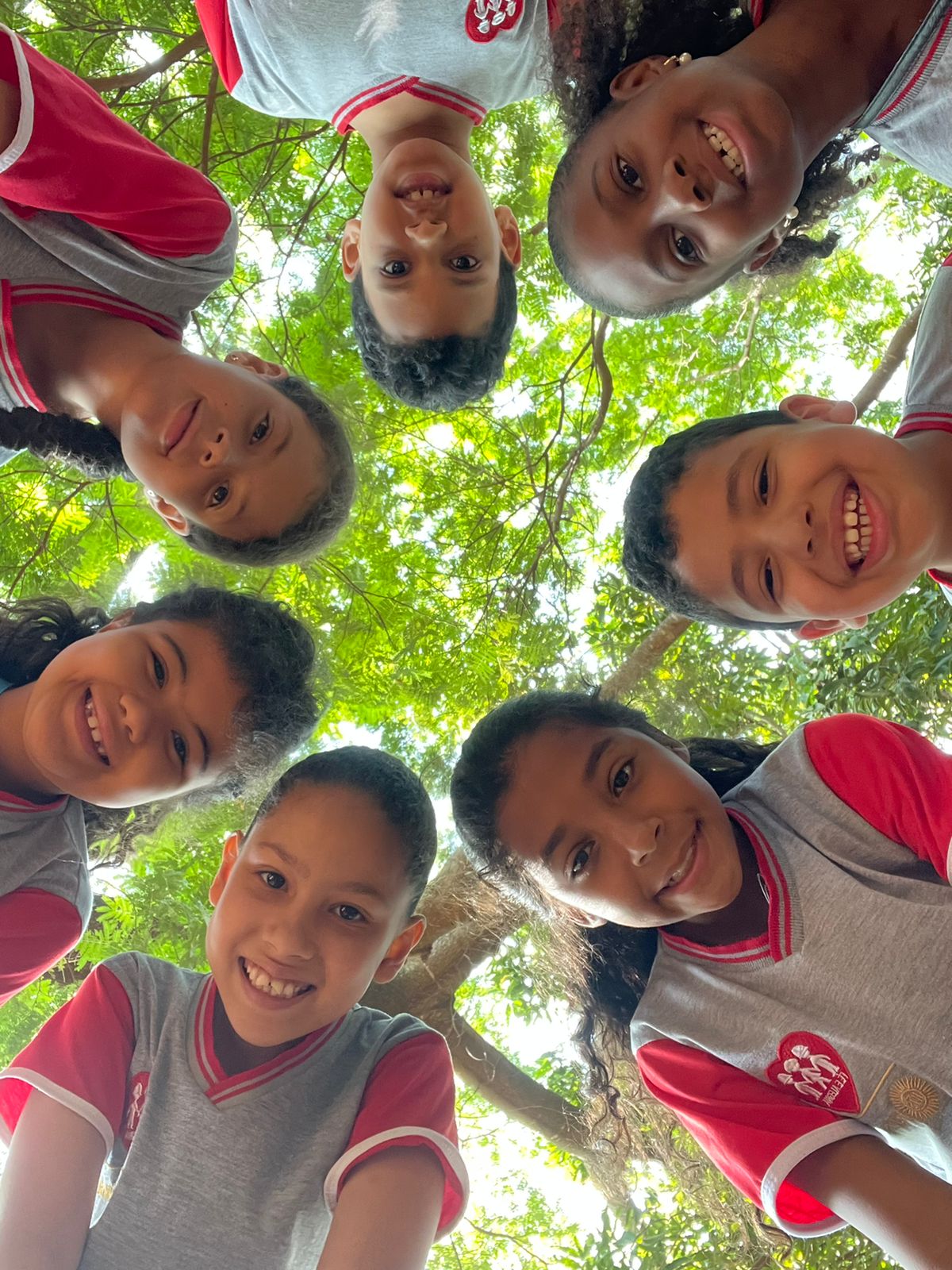 Grupo de crianças uniformizadas e sorridentes em círculo, vistas de baixo para cima, com a copa de uma árvore ao fundo.